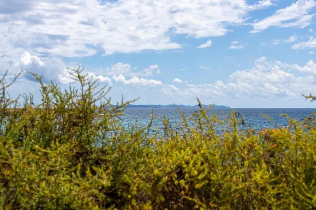 Lägenhet M0 Practico Y Sencillo Apartamento A 100 M De Las Mejores Playas De Mallorca Colonia de Sant Jordi